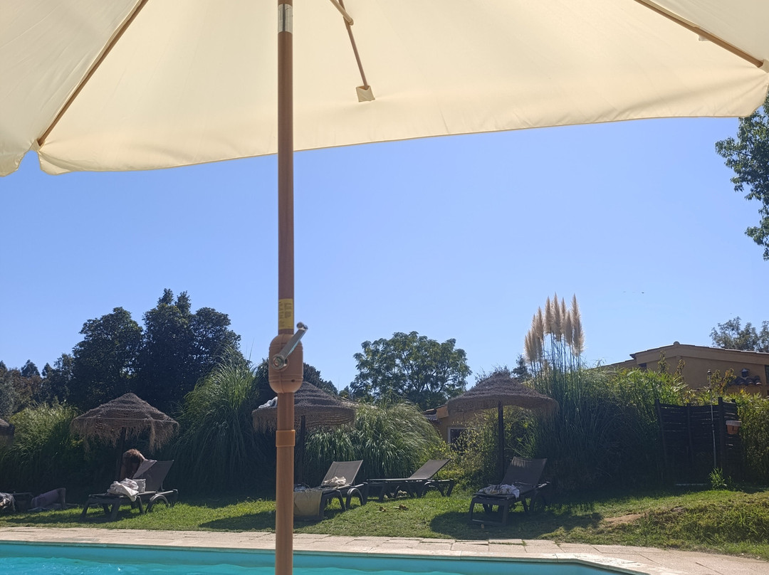 Duna Parque Beach Club | Duna Parque Resorts & Hotels主图