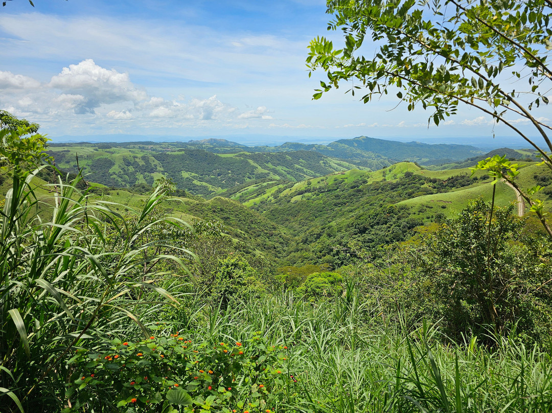 Manakin Waterfalls Nature Reserve.-Tilaran必去景点