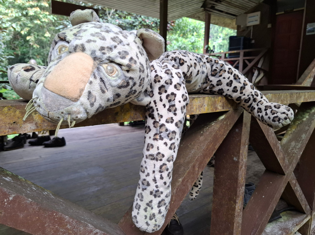 1StopBorneo Wildlife-斗湖必去景点