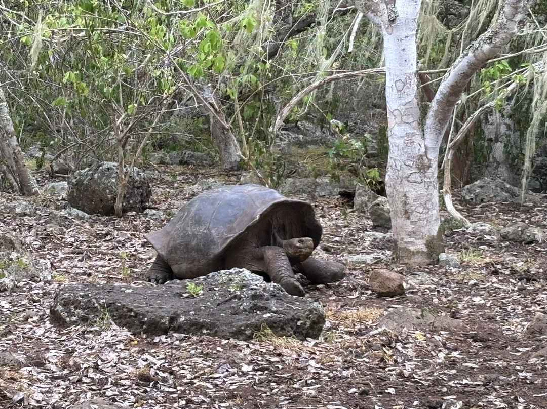 Galapaguera de Cerro Colorado-圣克里斯托瓦尔必去景点