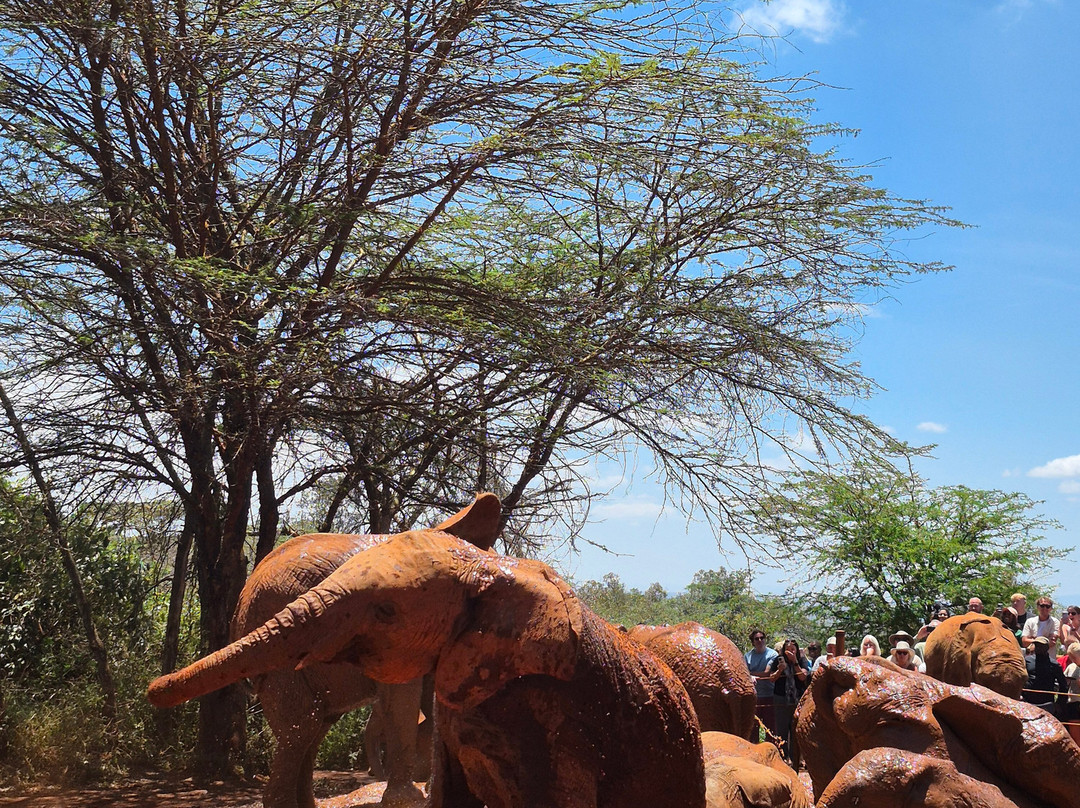 On Adventure Africa-Kajiado必去景点