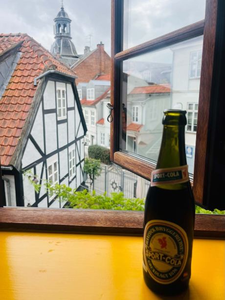 斯特凡森斯酒店-旅行者