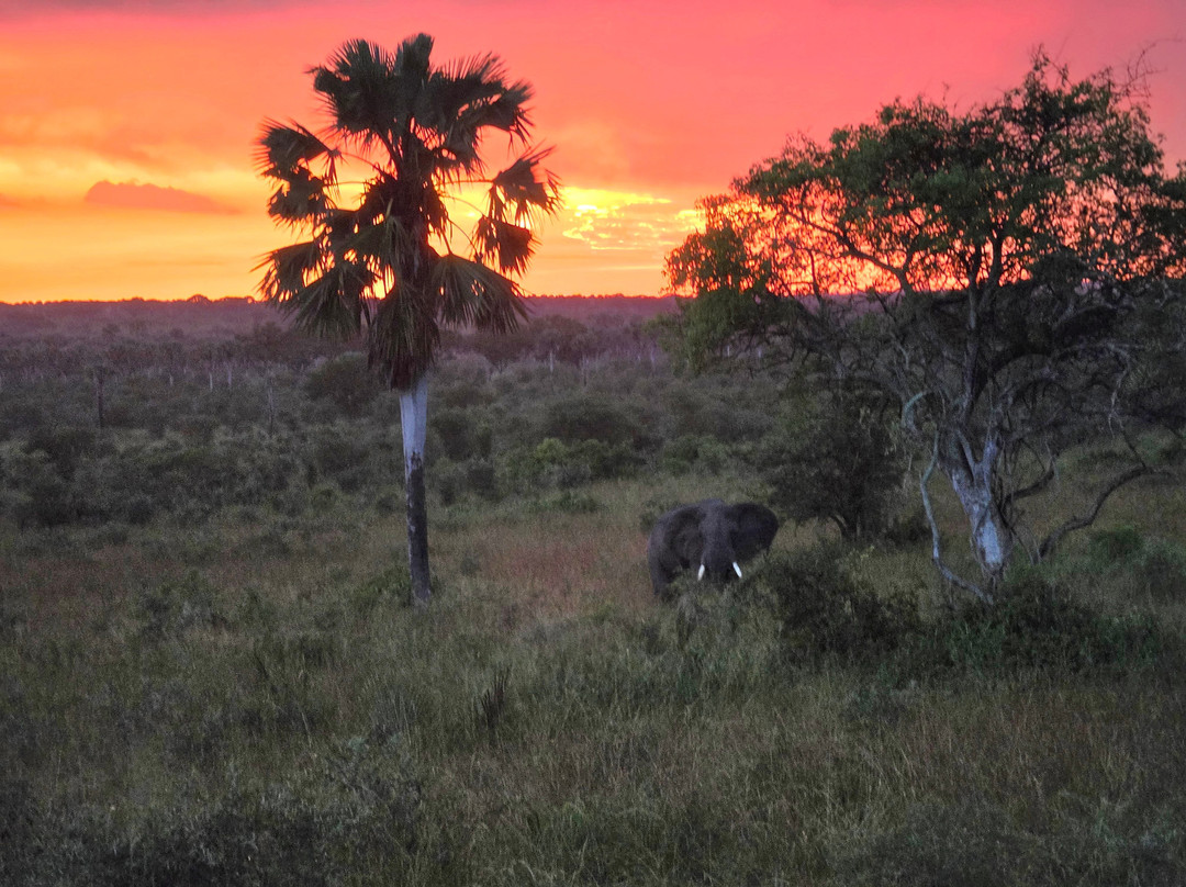 Kigezi Vima Safaris-Kibale National Park必去景点