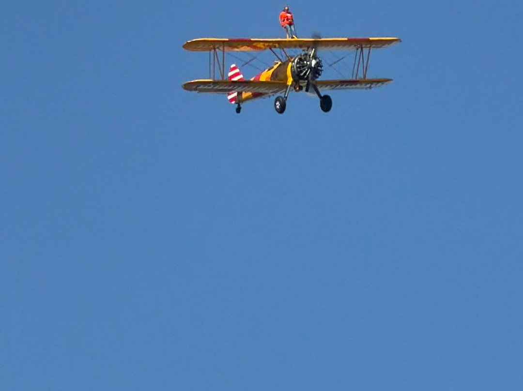 The Wing Walk Company-Headcorn必去景点