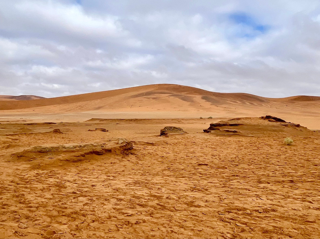 Deadvlei-苏丝斯黎必去景点