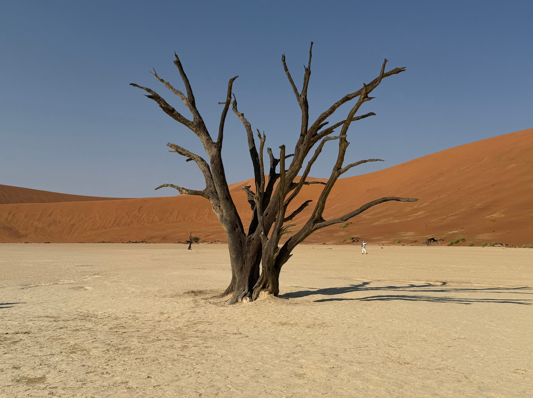 Namibia Tours & Safaris-斯瓦科普蒙德必去景点
