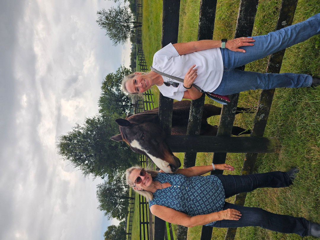 Old Friends at Dream Chase Farm-Georgetown必去景点