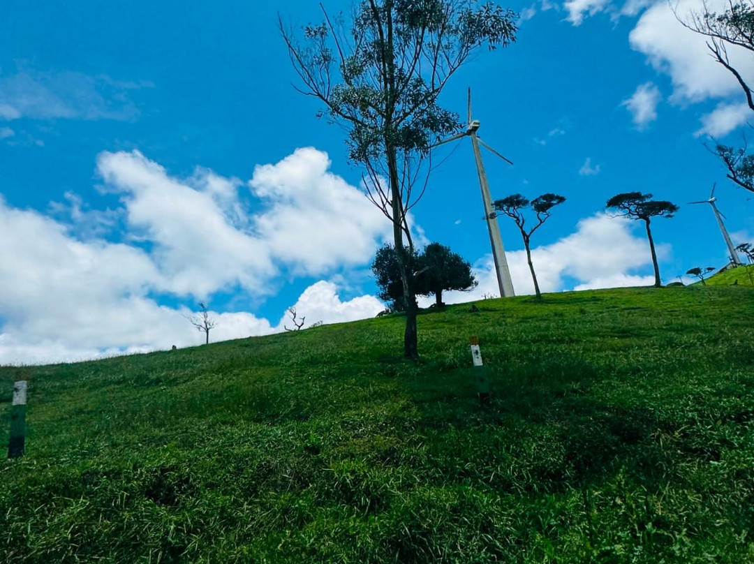 Tour In Lanka-尼甘布必去景点