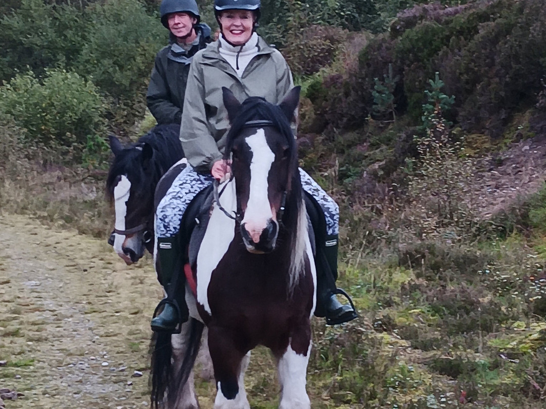 Highland Trekking And Trail Riding-Cannich必去景点