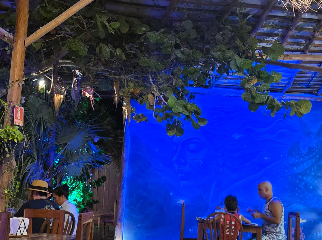 Very Wood Holbox