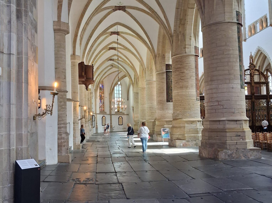 Sint-Bavokerk (Church of St. Bavo)-哈勒姆必去景点