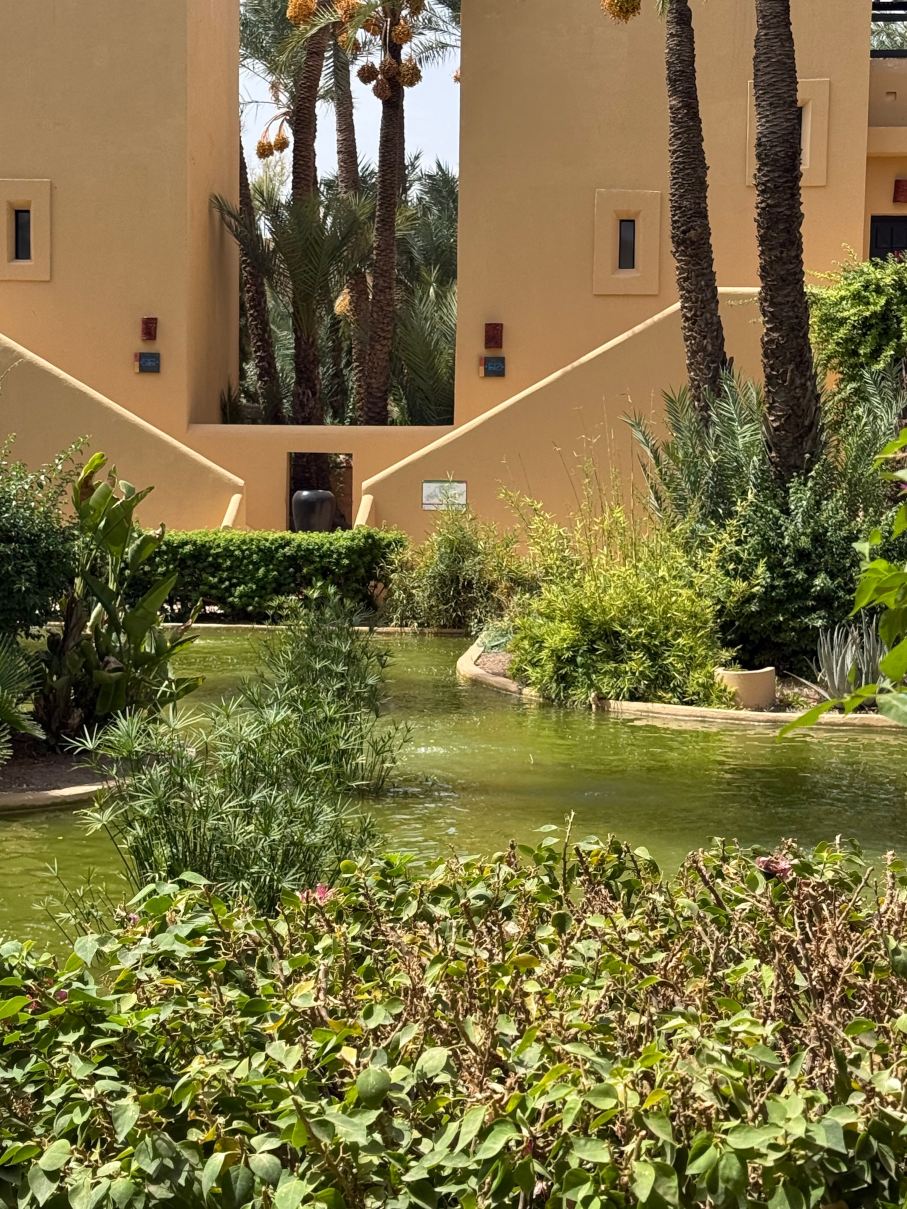 Club Med Marrakech la Palmeraie-旅行者