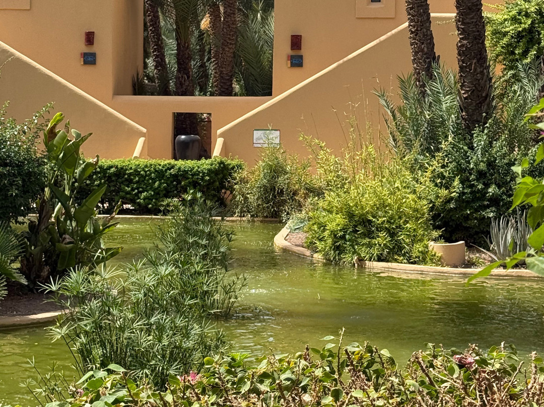 Club Med Marrakech la Palmeraie主图