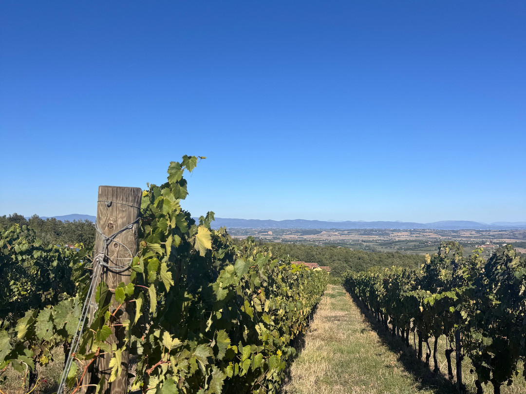 Tuscany Tours by Golden Travel-泰拉诺瓦布拉乔利尼必去景点
