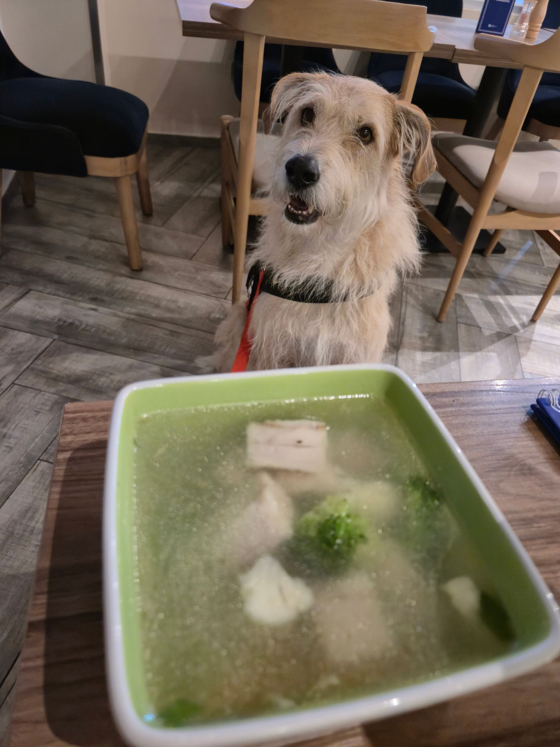 瓜亚基尔机场波多黎各太平洋酒店-旅行者