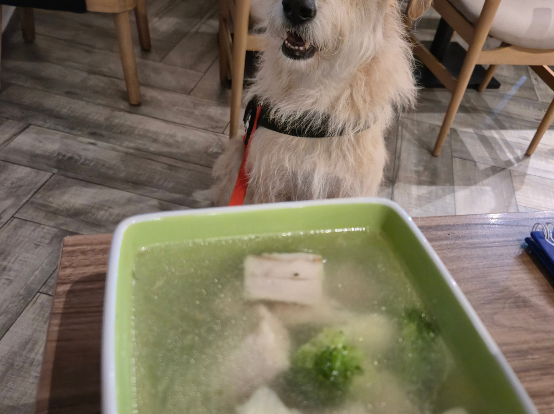 瓜亚基尔机场波多黎各太平洋酒店主图