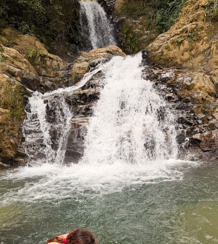 Amazonía Travel-Florencia必去景点