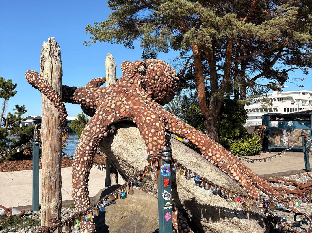 Feiro Marine Life Center-安吉利斯港必去景点