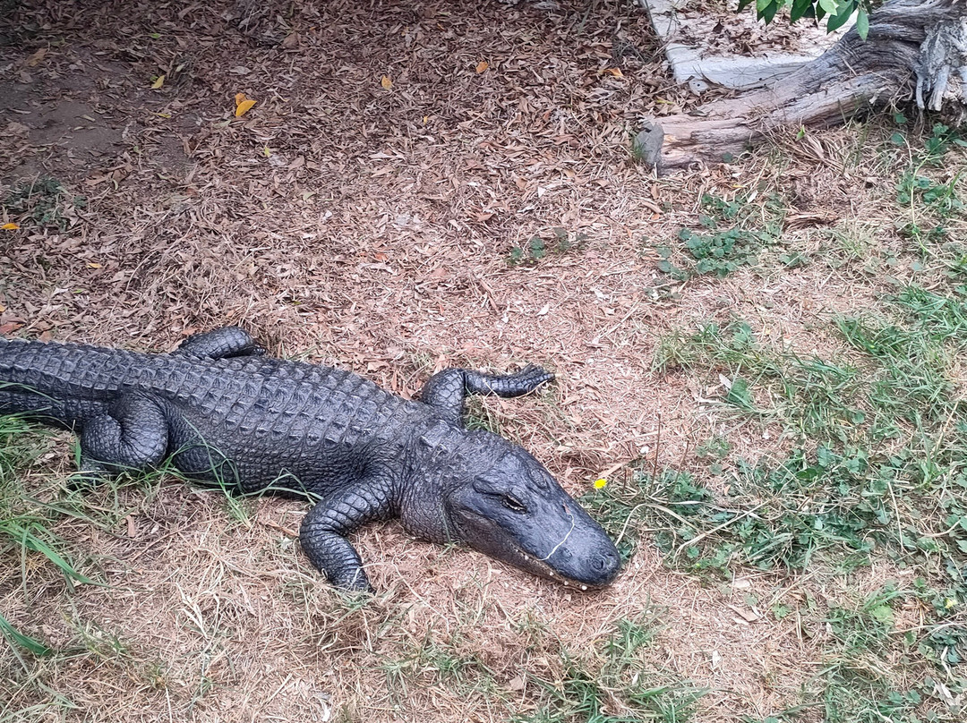 Reptile Park-瓦卡沃夫必去景点