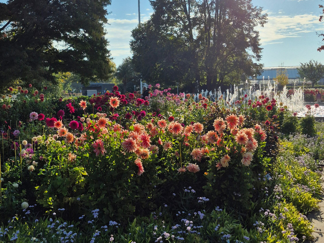 Egapark Erfurt-爱尔福特必去景点