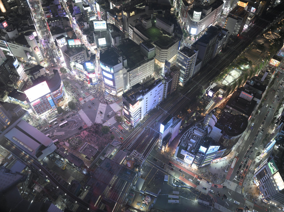 Shibuya Sky-涩谷区必去景点