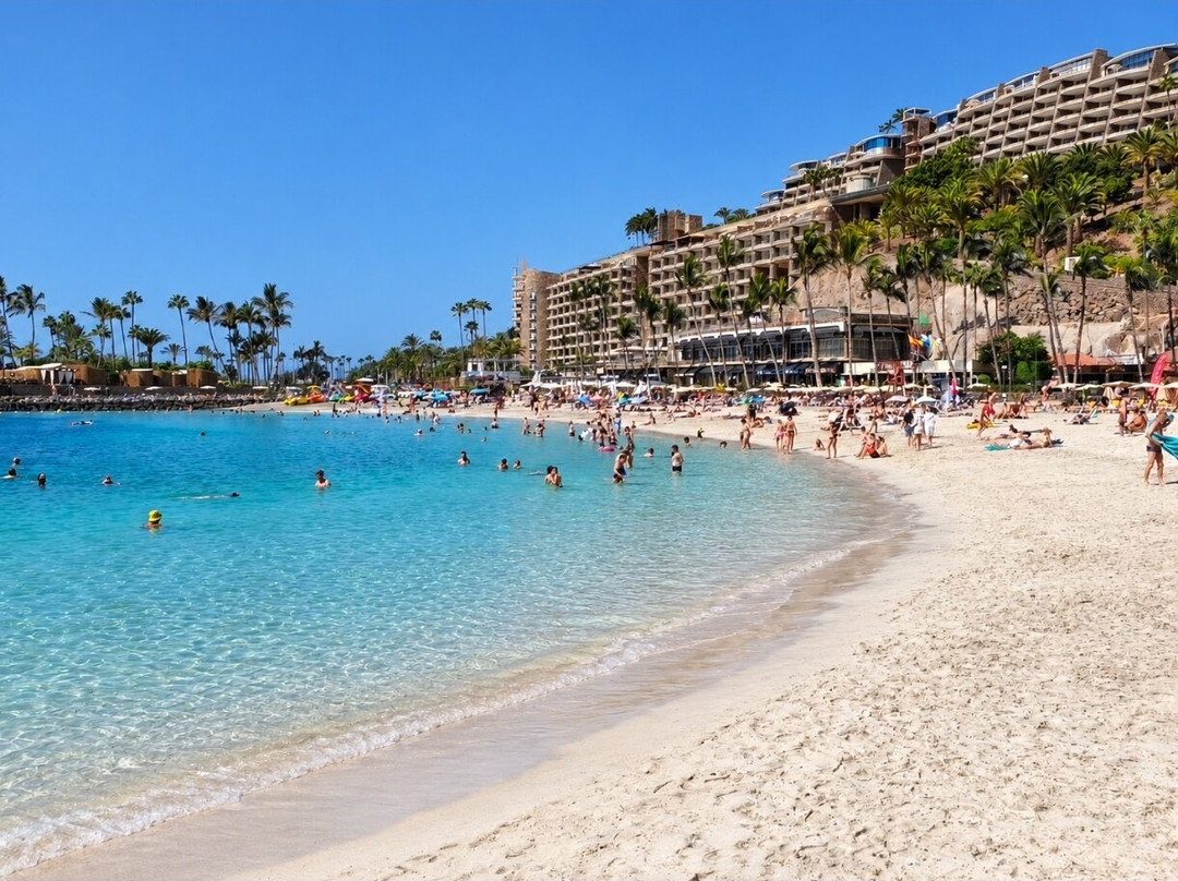 Playa Anfi del Mar-Barranco de la Verga必去景点