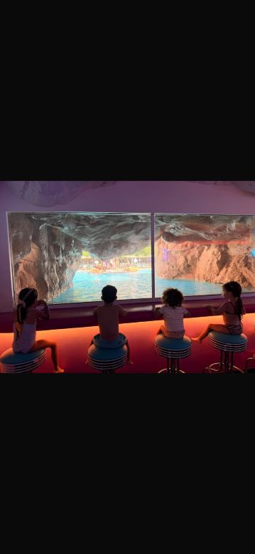 丹埃拉特酒店-旅行者