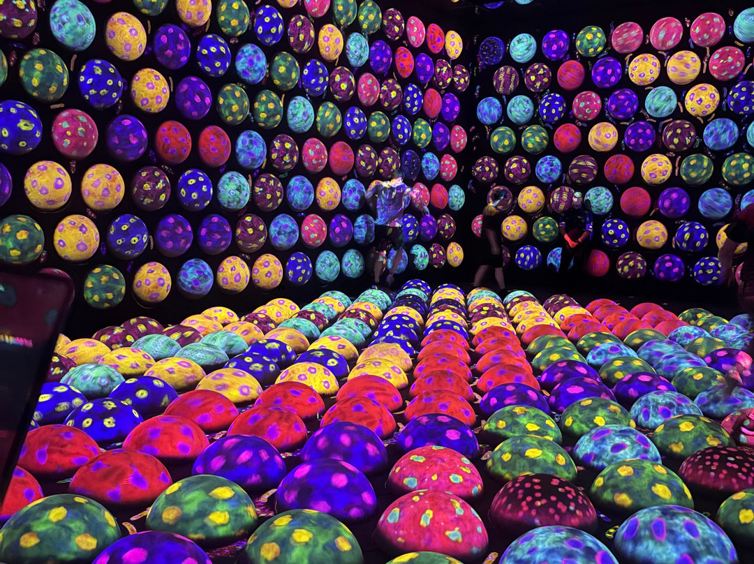 teamLab Planets TOKYO-Toyosu必去景点