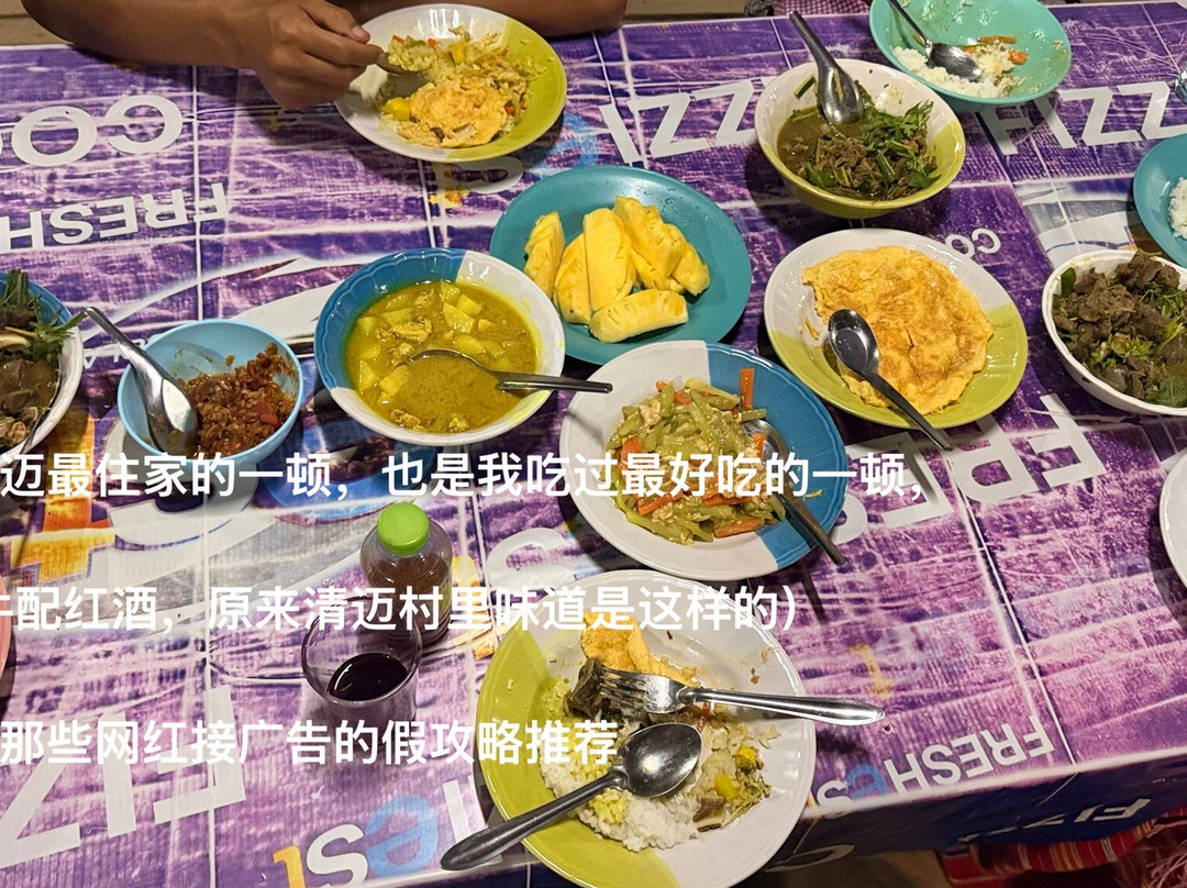 Elephant Freedom Village-清迈必去景点