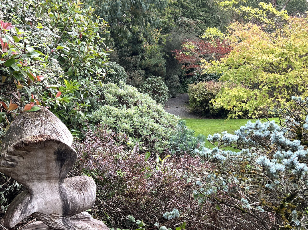 Dingle Nursery And Garden-Welshpool必去景点