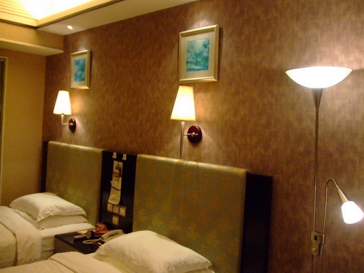 雅香国际(公寓)大酒店-客卧