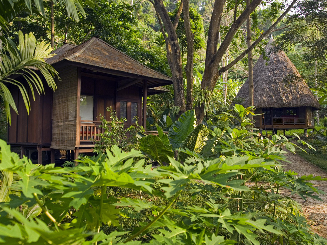 哈夫洛克赤脚酒店