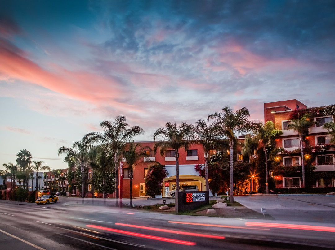 Gamma Tijuana