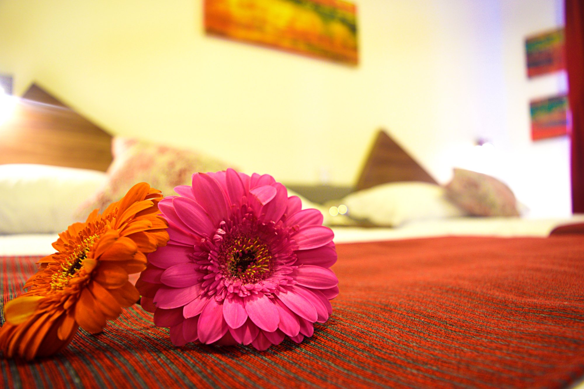 Astro Inn Hotel Express-官方