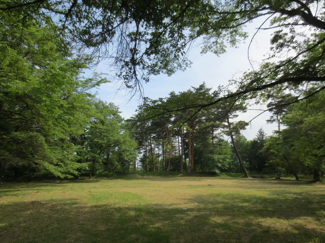 Shinfu Castle Site景点图片