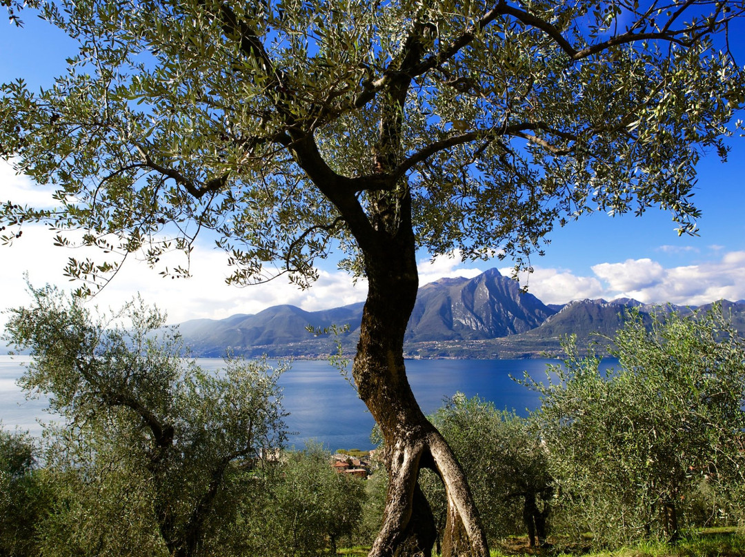 San Zeno di Montagna旅游攻略图片