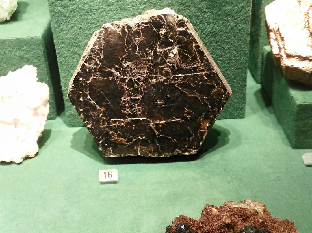 Mineralogisches Museum景点图片