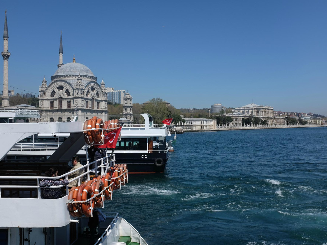 Hop in Hop Off Boat Tour-伊斯坦布尔必去景点