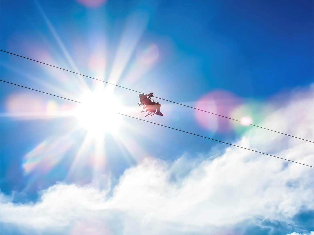 Canopy San Lorenzo-圣拉蒙必去景点