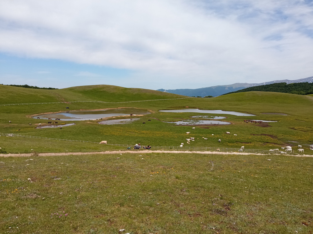 Pantani Di Accumoli景点图片