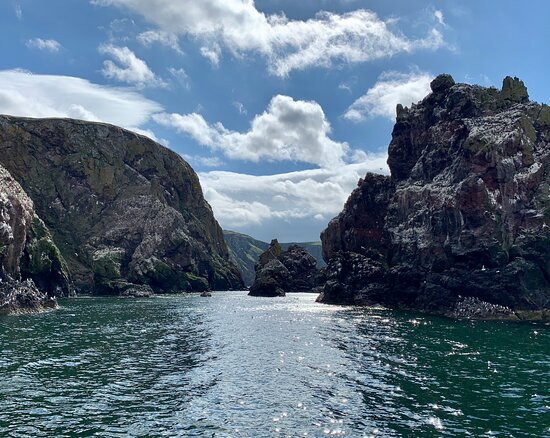 In Our Nature-Eyemouth必去景点
