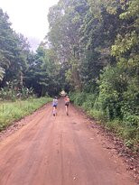 Beaver Creek Coffee Farm-Port Edward必去景点