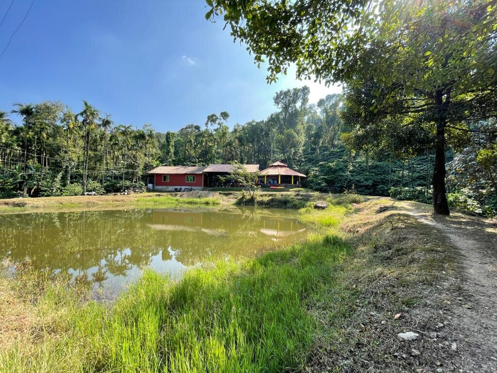 Mystique Falls Homestay主图