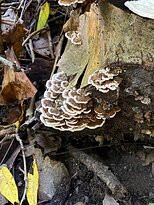 Brukner Nature Center-Troy必去景点