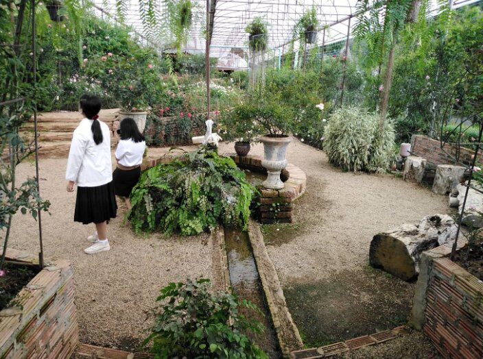 Houy Pak Pai Rose Garden-万磅必去景点
