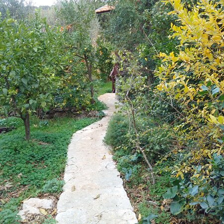 Amirim Atmosphere主图