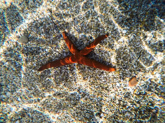 Proti Cruises-Gialova必去景点