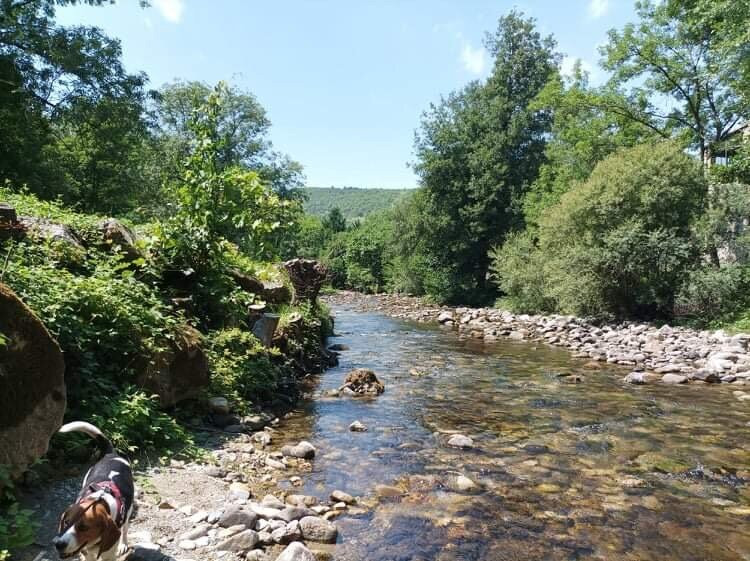 Camping Laparot