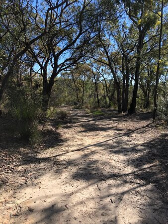 Highland Rd Trail-Faulconbridge必去景点