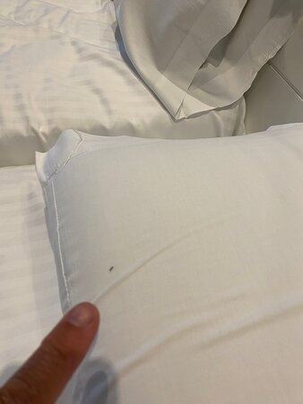 Hotel Malaga Nostrum主图